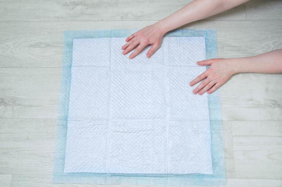 Άμμο για γάτες χωρίς νύχια: Φροντίδα και Οδηγός Ασφαλείας