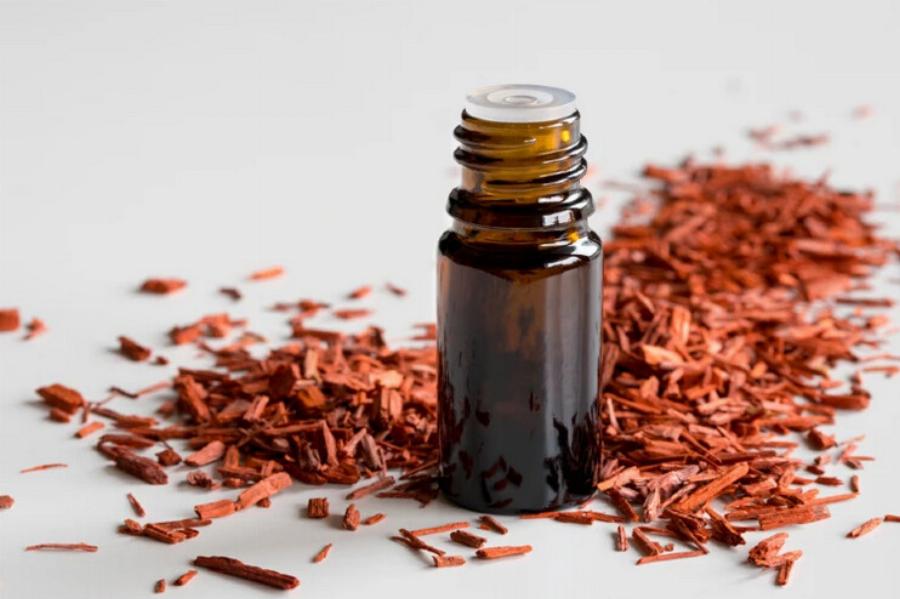 Είναι το σανταλόξυλο ασφαλές για τις γάτες; Εγκεκριμένα από κτηνίατρο στοιχεία & συχνές ερωτήσεις