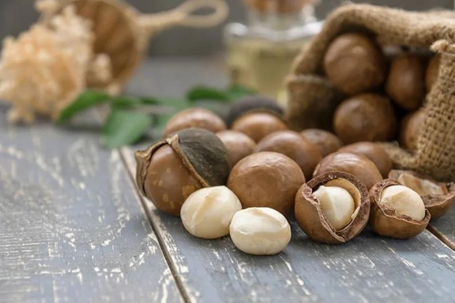 Μπορούν οι γάτες να τρώνε ξηρούς καρπούς; Εγκεκριμένες από κτηνίατρο πληροφορίες & Συχνές ερωτήσεις