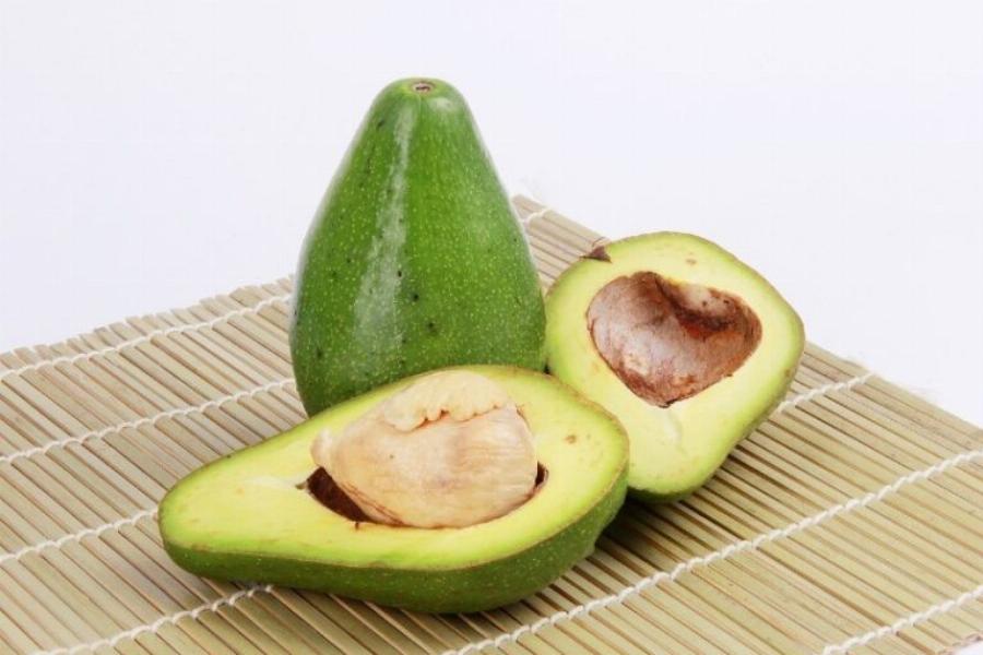 Μπορούν οι γάτες να φάνε παντζάρια; Οδηγός υγείας και ασφάλειας εγκεκριμένος από κτηνίατρο