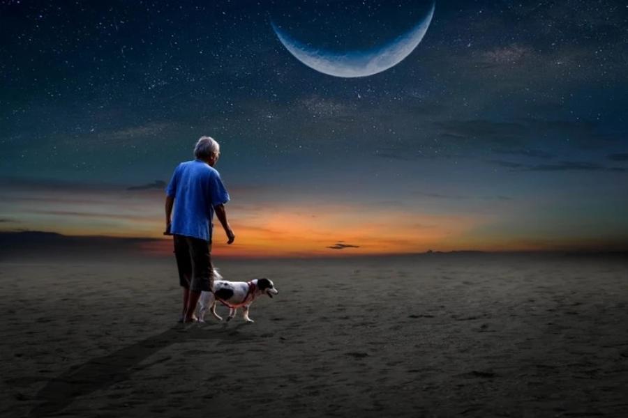 Επηρεάζει η Πανσέληνος τους σκύλους και τις γάτες; Ο μύθος αποκαλύπτεται