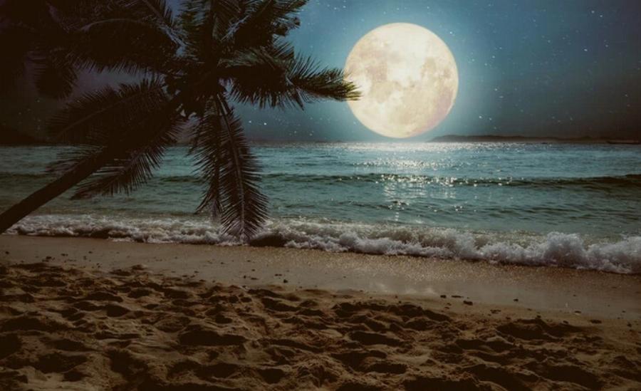 Επηρεάζει η Πανσέληνος τους σκύλους και τις γάτες; Ο μύθος αποκαλύπτεται