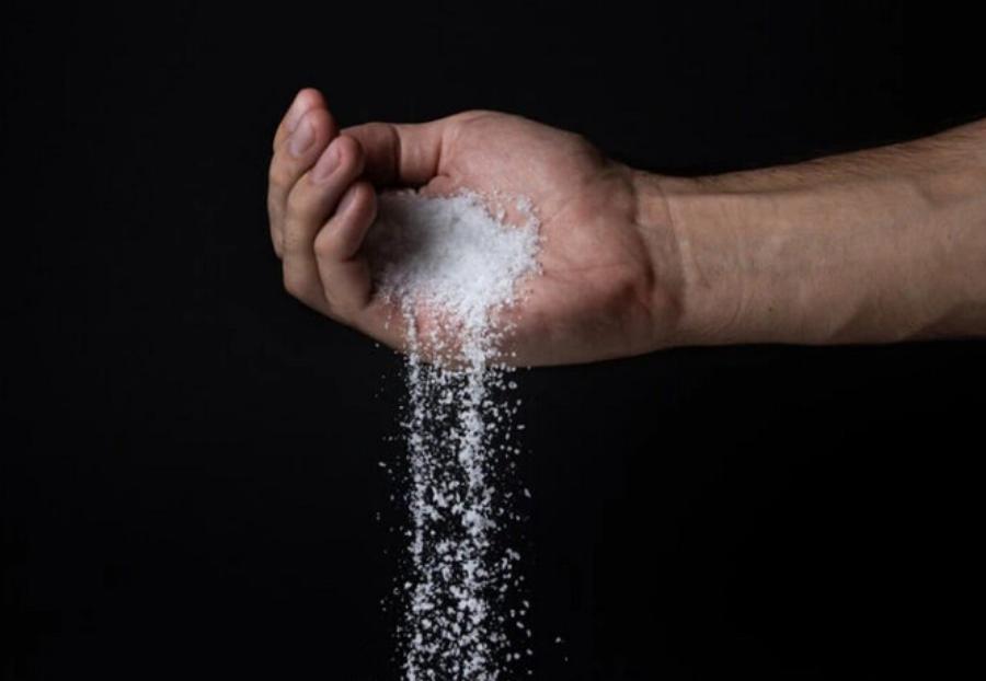 Διατροφή γάτας: Στις γάτες αρέσει το αλάτι; Χρήσιμες πληροφορίες