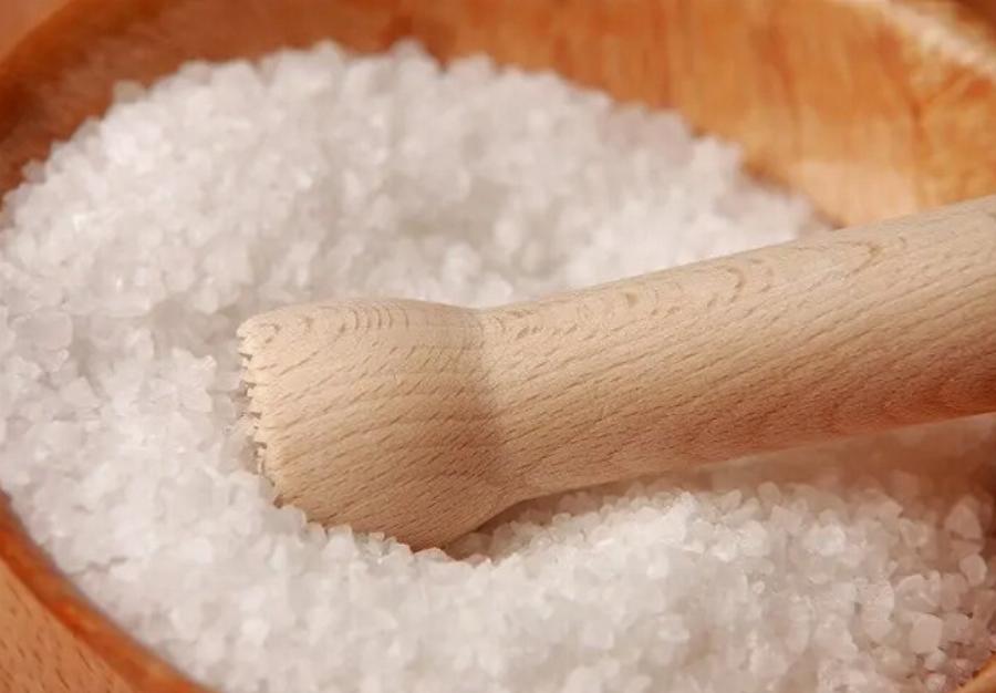 Διατροφή γάτας: Στις γάτες αρέσει το αλάτι; Χρήσιμες πληροφορίες