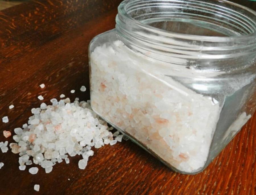 Διατροφή γάτας: Στις γάτες αρέσει το αλάτι; Χρήσιμες πληροφορίες