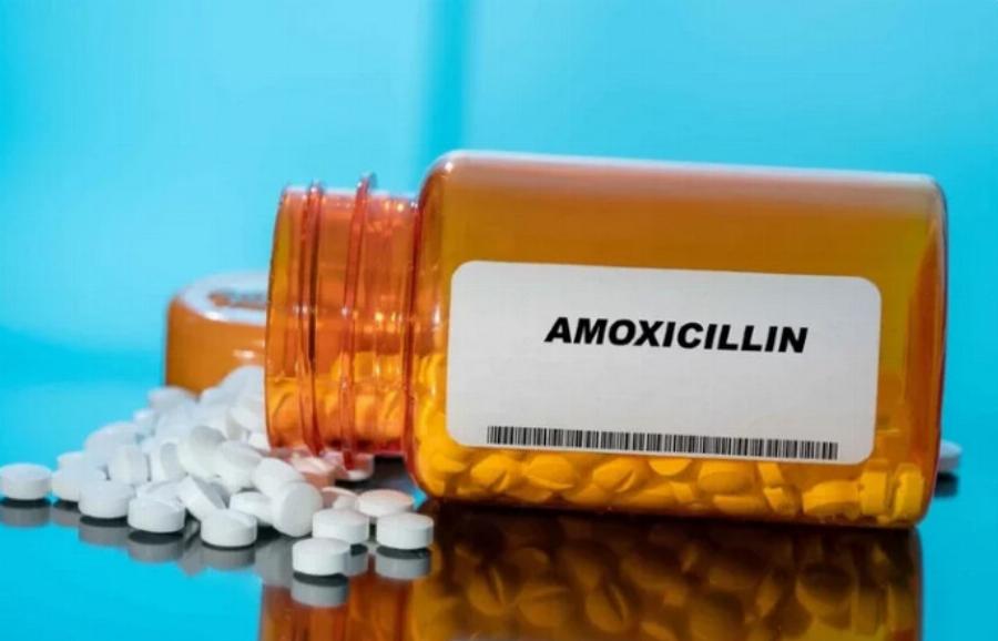 Αμοξικιλλίνη για γάτες: Χρήσεις, Δοσολογία & Παρενέργειες