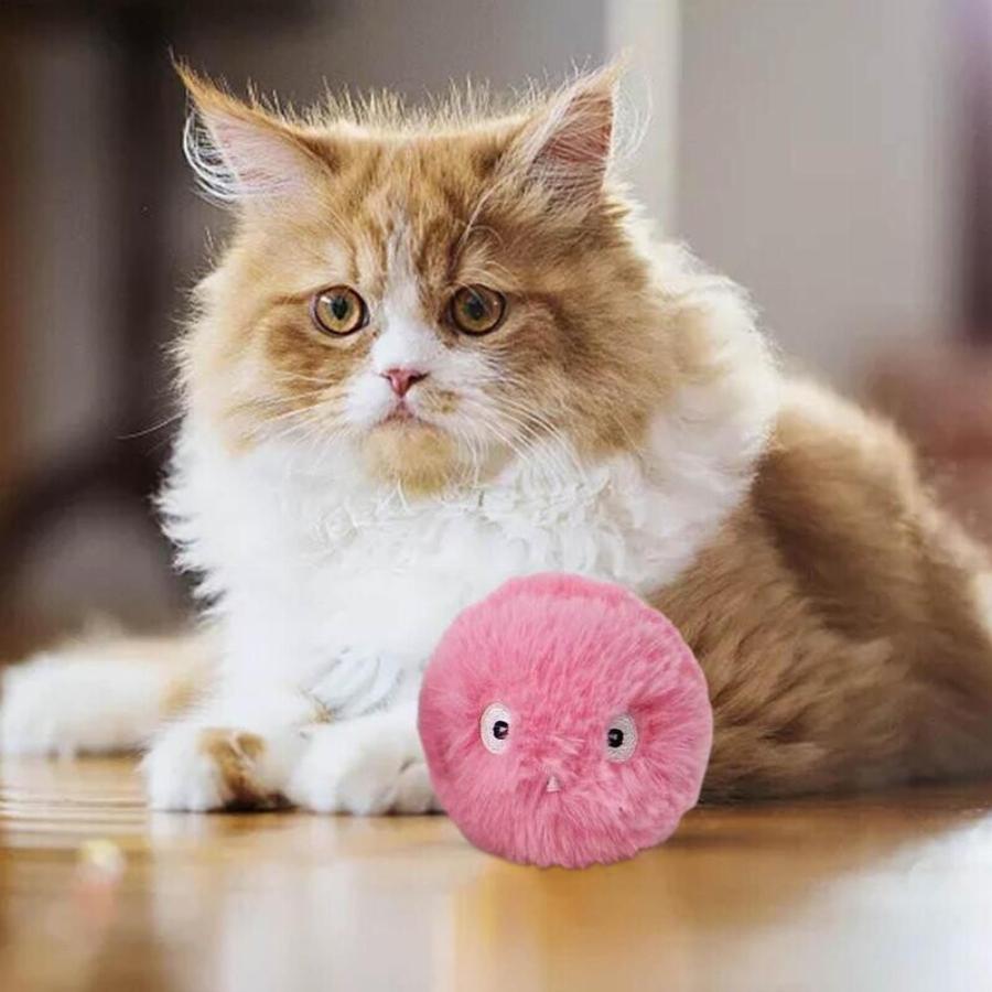 Αυτά είναι τα καλύτερα παιχνίδια για τυφλές γάτες – Οδηγός αγοράς