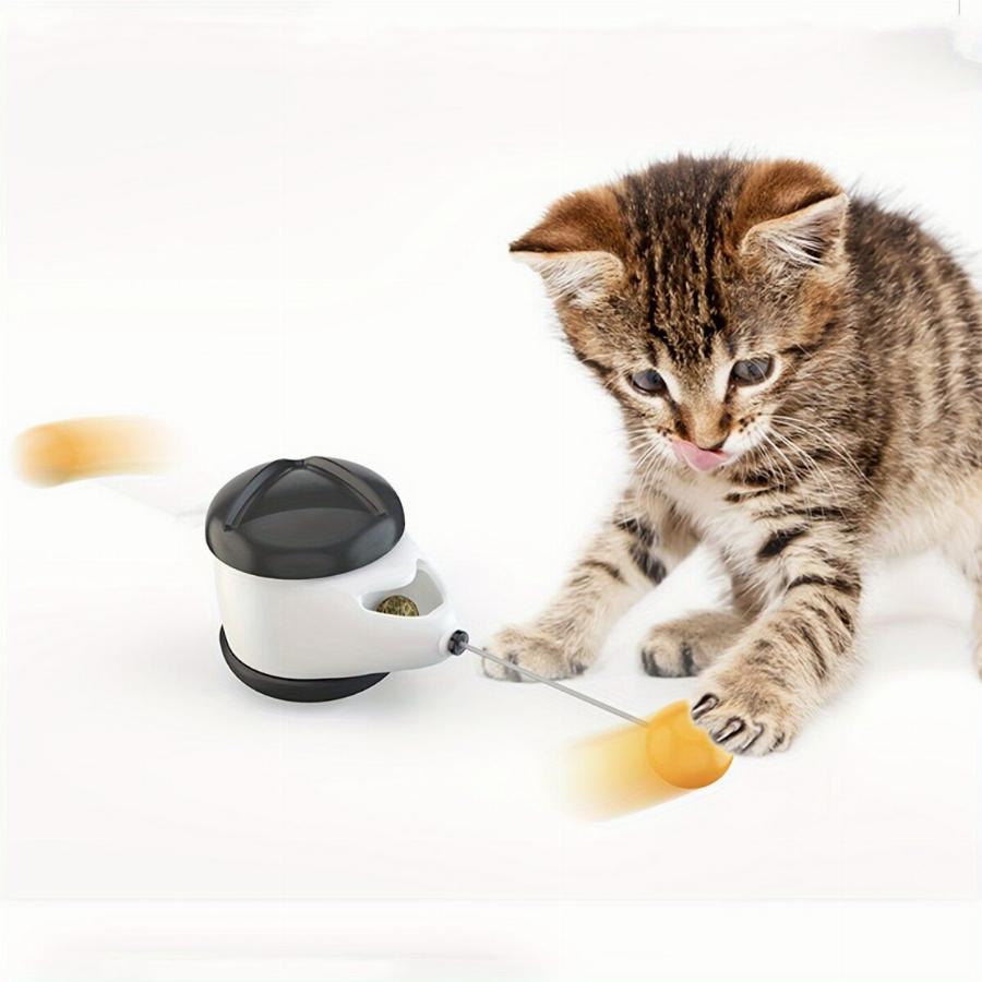 Αυτά είναι τα καλύτερα παιχνίδια για τυφλές γάτες – Οδηγός αγοράς