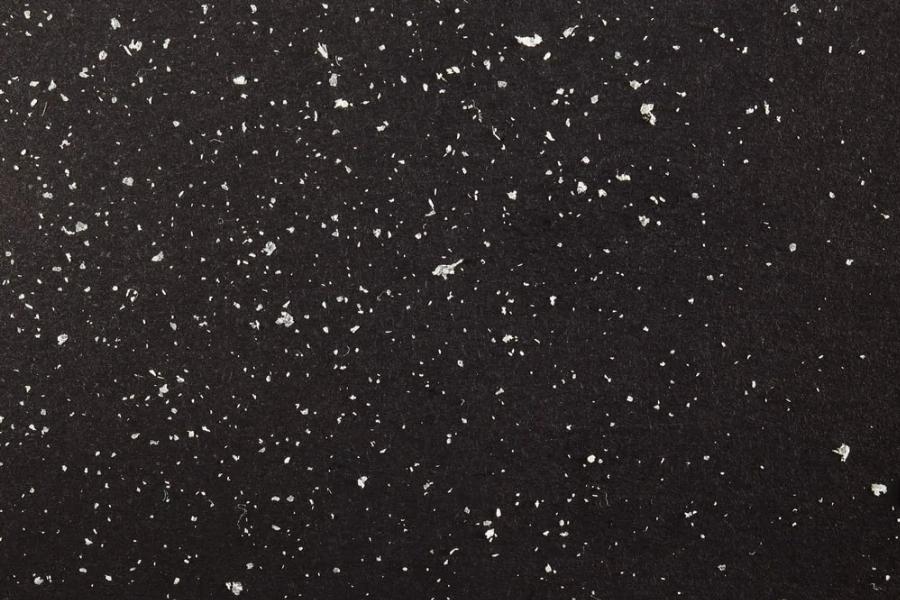 Γιατί η γάτα μου έχει πιτυρίδα; 8 πιθανές αιτίες σύμφωνα με κτηνίατρο