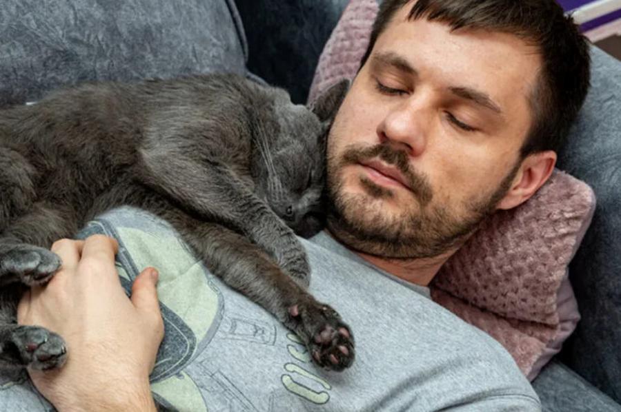 Συμπαθούν οι γάτες τους ανθρώπους ή απλά μας ανέχονται; 7 σημάδια στοργής