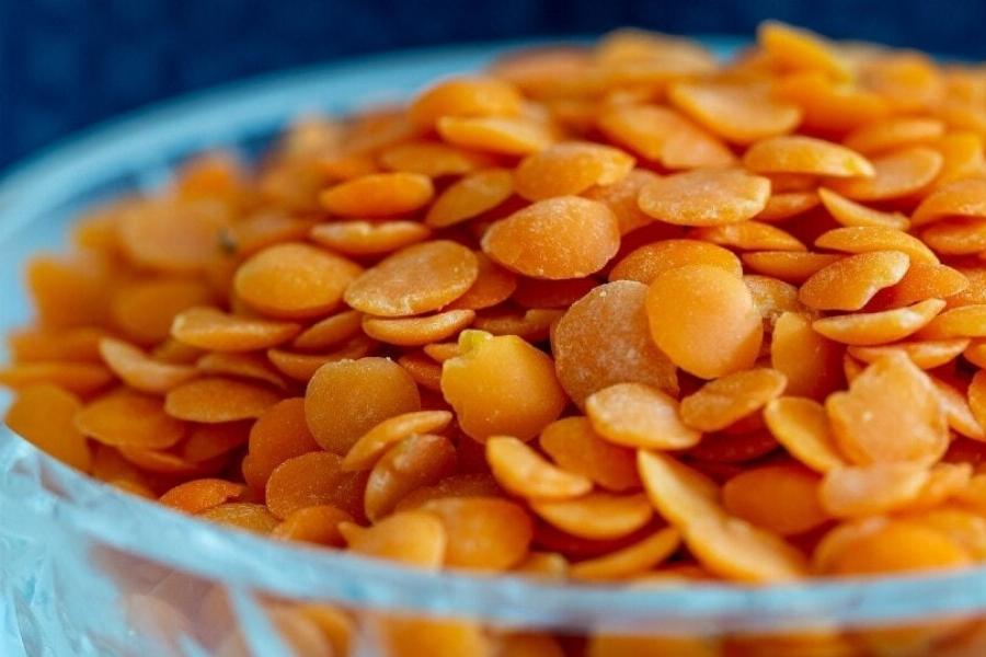 Μπορούν οι γάτες να φάνε φακές; Διατροφικά στοιχεία & Συχνές ερωτήσεις