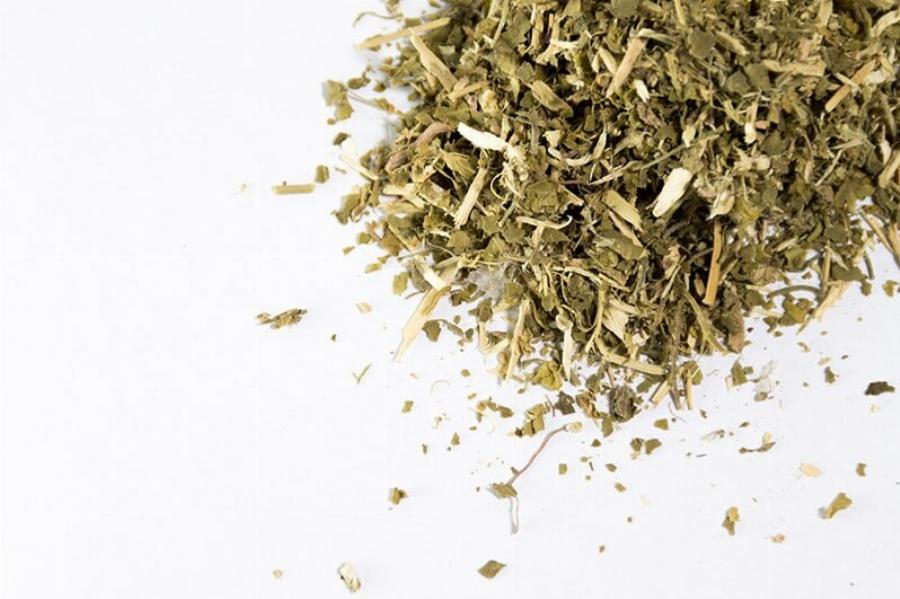 Πόσο μακριά μπορεί η γάτα μου να μυρίσει το Catnip; Επιστημονικά τεκμηριωμένες πληροφορίες & συμβουλές