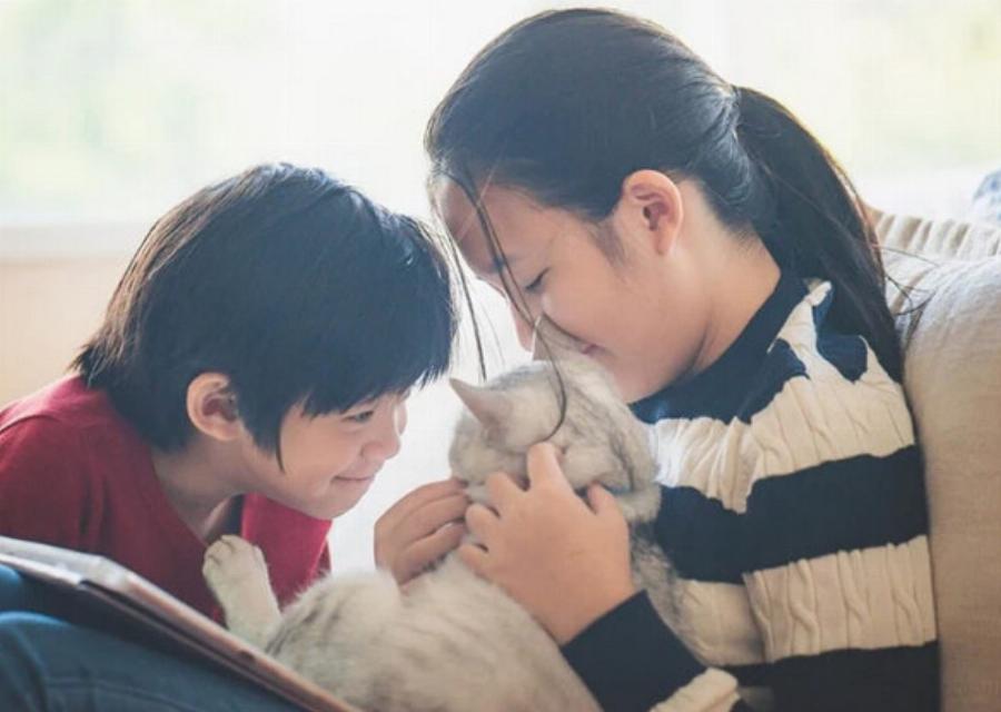 Πώς να βοηθήσετε γάτες και παιδιά να δεθούν: 12 συμβουλές ειδικών