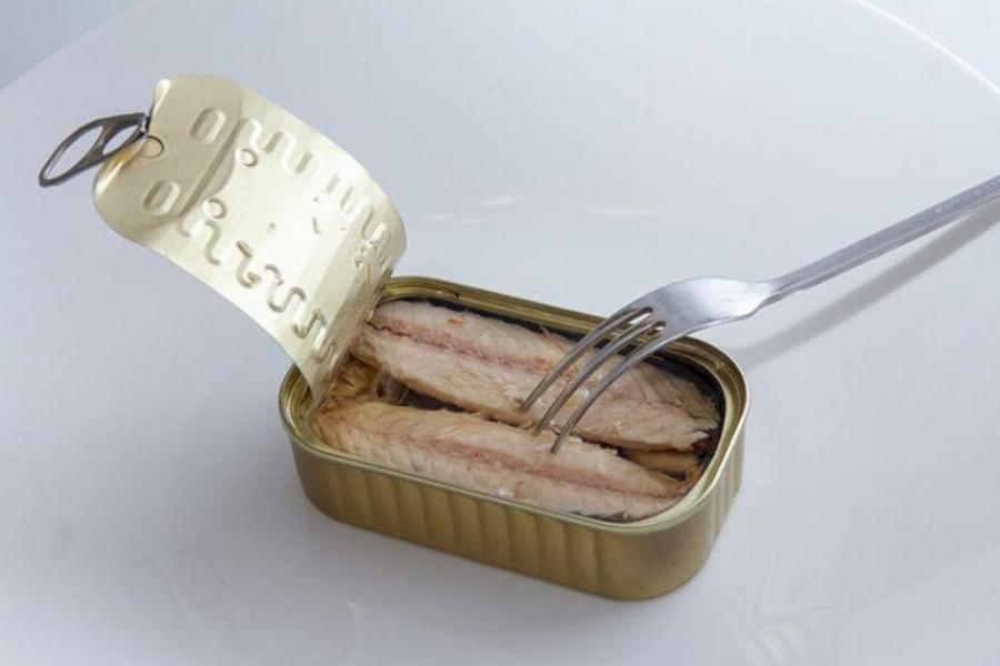 Μπορούν οι γάτες να φάνε σκουμπρί; Διατροφικά στοιχεία & Συχνές ερωτήσεις