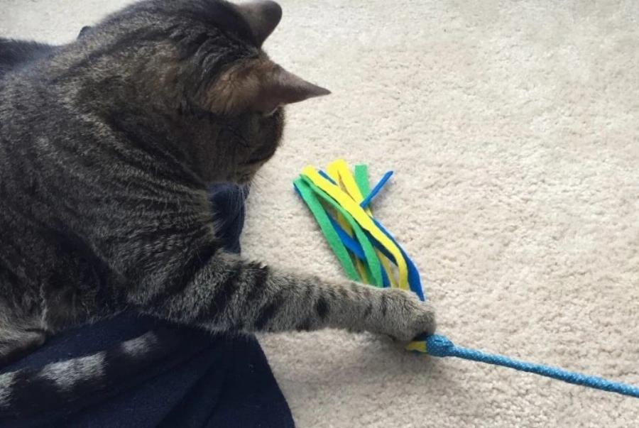 10 DIY σχέδια για ραβδί γάτας που μπορείτε να φτιάξετε σήμερα (με εικόνες)