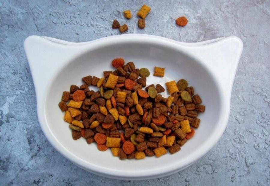 Είναι οι χρωστικές ουσίες τροφίμων ασφαλείς για τις γάτες; Πληροφορίες & Συχνές ερωτήσεις