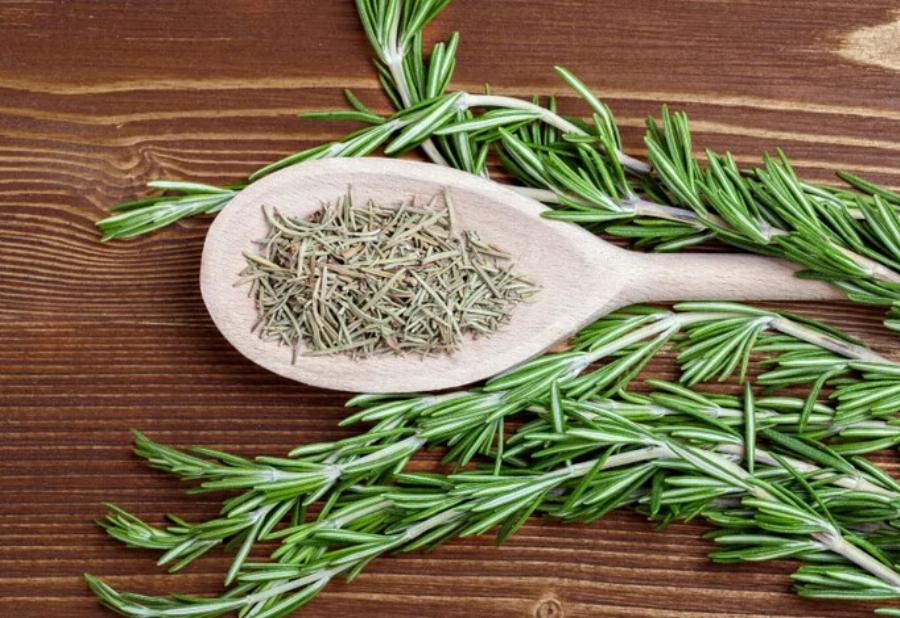 Το δενδρολίβανο σκοτώνει τους ψύλλους; Συμβουλές εγκεκριμένες από κτηνίατρο