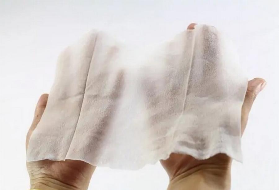 Είναι τα μωρομάντηλα ασφαλή για τις γάτες; – Όλα όσα πρέπει να ξέρετε