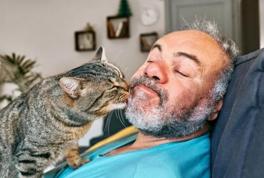 Γιατί στις γάτες αρέσουν τα γένια; Αυτοί είναι οι 5 πιθανοί λόγοι