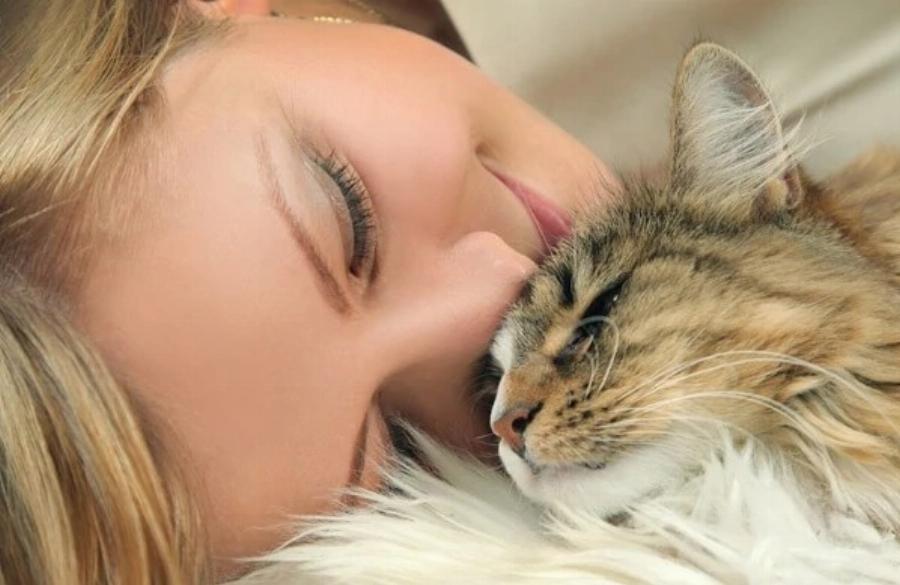 Γιατί στις γάτες αρέσει να χαϊδεύουν τα αυτιά τους; 5 λόγοι σύμφωνα με κτηνίατρο