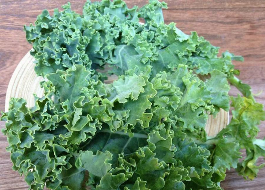 Μπορούν οι γάτες να φάνε λαχανίδα; Διατροφικά στοιχεία που έχουν αξιολογηθεί από κτηνίατρο