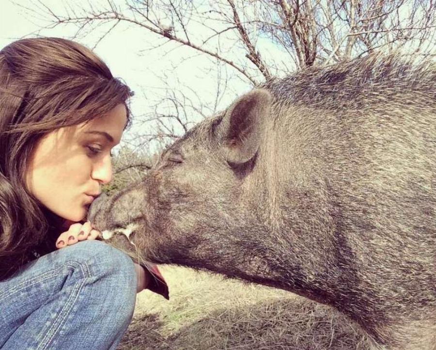 Μια πραγματική ηρωίδα: Γυναίκα φροντίζει εγκαταλελειμμένα ζώα που κανείς δεν θέλει, όποιο είδος κι αν είναι