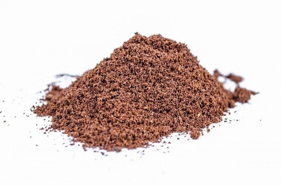 Πώς να κρατήσετε τις γάτες μακριά από τα παρτέρια λουλουδιών: 10 εύκολες μέθοδοι