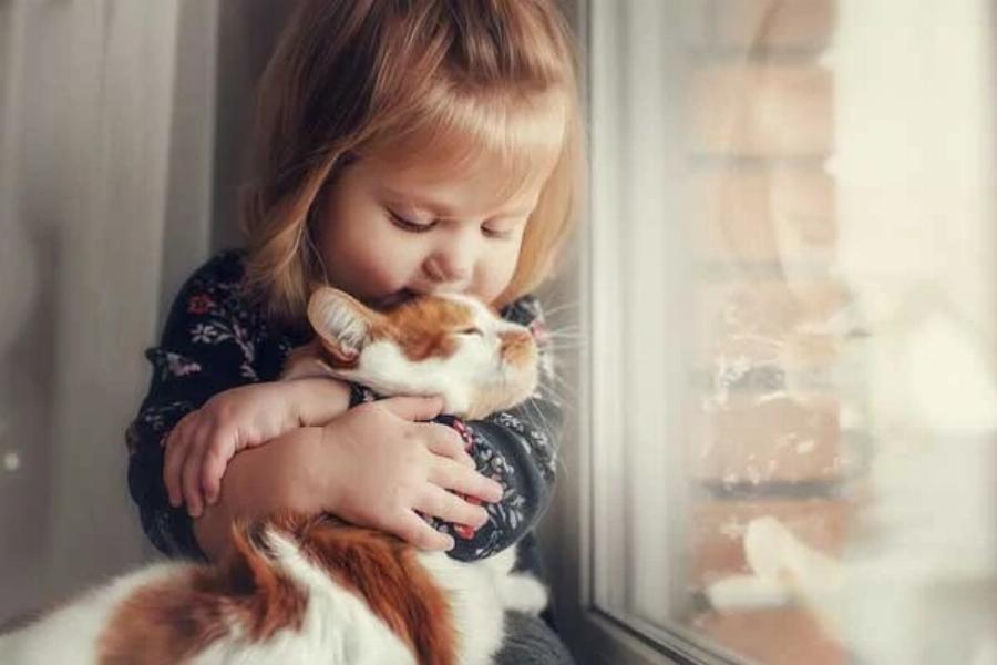 Συμπεριφορά γάτας: Γιατί η γάτα μου τρώει την άμμο και πώς να τη σταματήσω;