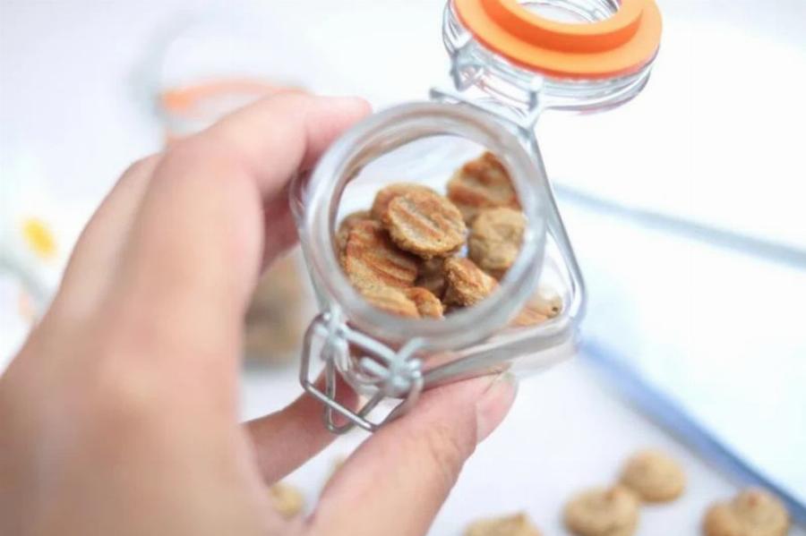 4 Σπιτικές Συνταγές για γάτες χωρίς δημητριακά εγκεκριμένες από κτηνίατρο