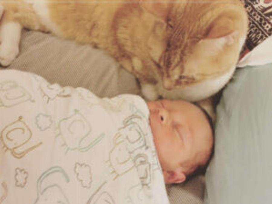 Παίζουν παρέα: Η ηλικιωμένη γάτα δεν χορταίνει να κάθεται με το νέο μωρό της οικογένειας