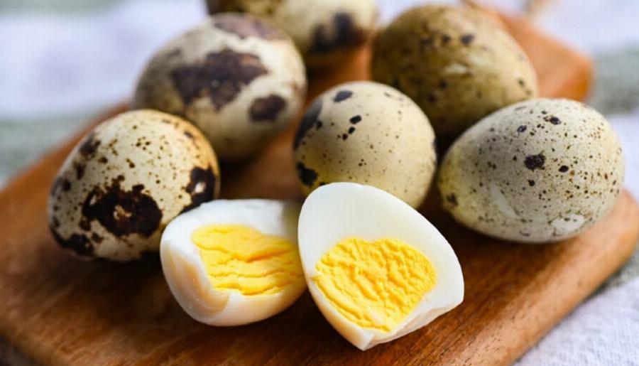 Μπορούν οι γάτες να φάνε αυγά ορτυκιού; Εγκεκριμένα από κτηνίατρο στοιχεία, οδηγός διατροφής & συχνές ερωτήσεις