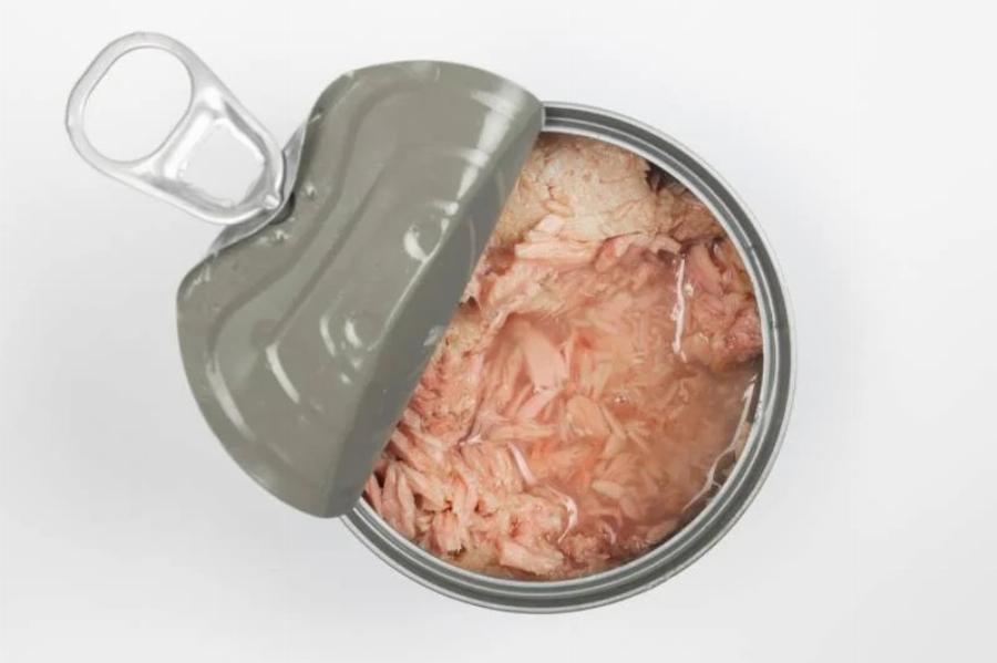 Μπορούν οι γάτες να φάνε κρέας κονσέρβας; Χρήσιμες πληροφορίες & Συχνές ερωτήσεις