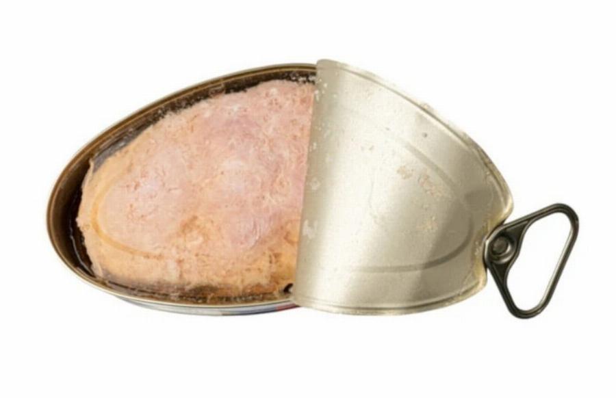 Μπορούν οι γάτες να φάνε κρέας κονσέρβας; Χρήσιμες πληροφορίες & Συχνές ερωτήσεις