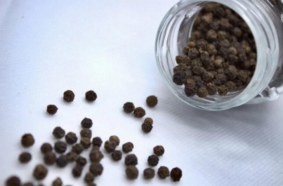 Το μαύρο πιπέρι κρατάει τις γάτες μακριά; Χρήσιμες πληροφορίες & Συχνές ερωτήσεις