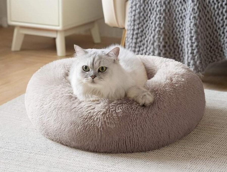 Είναι ασφαλή τα θερμαινόμενα κρεβάτια για γάτες; Οφέλη & κίνδυνοι που έχουν αξιολογηθεί από κτηνίατρο