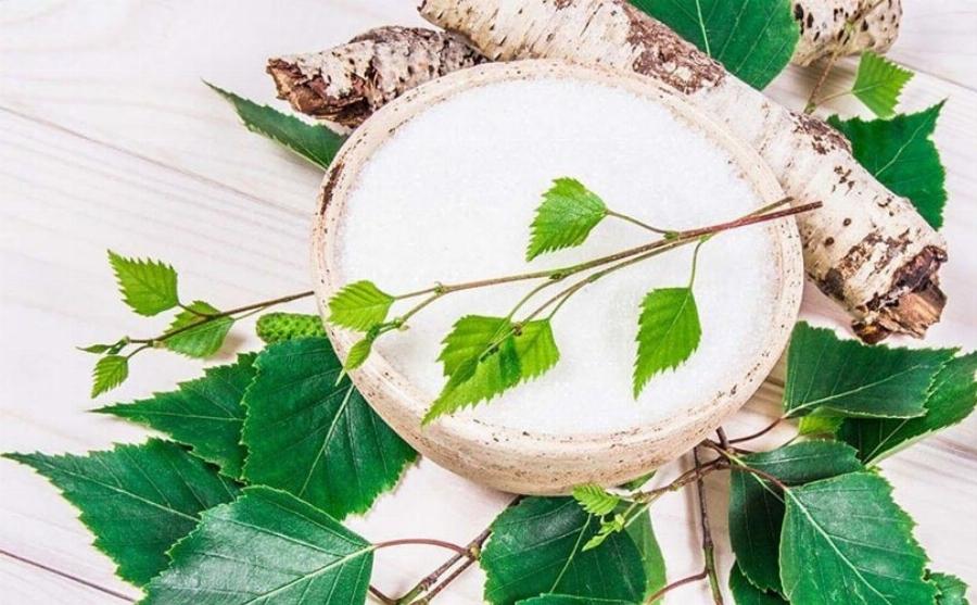 Η γάτα μου έφαγε τσίχλα – 3 Κίνδυνοι για την υγεία, εγκεκριμένοι από κτηνίατρο