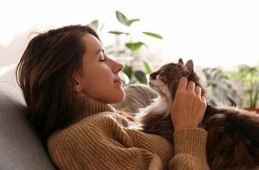 Μπορούν οι γάτες να μυρίσουν ανθρώπινες ορμόνες; Ποιες & πώς λειτουργεί