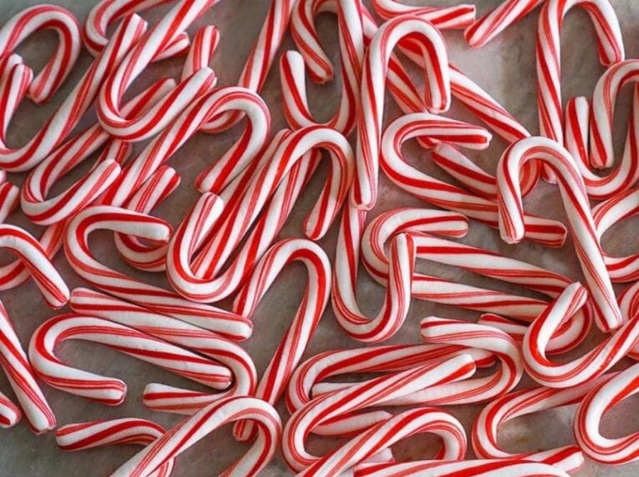 Μπορούν οι γάτες να φάνε μέντα; Διατροφικά στοιχεία & Συχνές ερωτήσεις