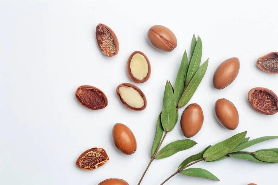 Είναι το έλαιο Argan ασφαλές για τις γάτες; Εγκεκριμένες από κτηνίατρο πληροφορίες για την υγεία και την ασφάλεια