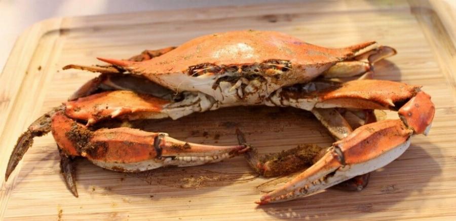 Μπορούν οι γάτες να φάνε καβούρια; Οδηγός διατροφικής υγείας και ασφάλειας που έχει αξιολογηθεί από κτηνίατρο