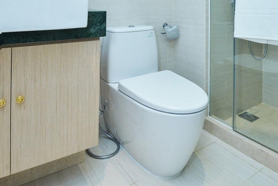 Γιατί η γάτα μου πίνει νερό από την τουαλέτα; 3 λόγοι σύμφωνα με κτηνίατρο