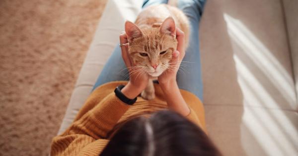 5/10 «Pet Day» Γιορτή με υιοθεσίες, συμβουλευτική από εκπαιδευτές και δραστηριότητες απο το Δήμο Νέας Σμύρνης και την Αστική Πανίδα του Δήμου Αθηναίων