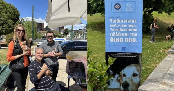 Εκπαίδευση και φροντίδα για κατοικίδια: Οι πρωτοβουλίες του Δήμου Αθηναίων