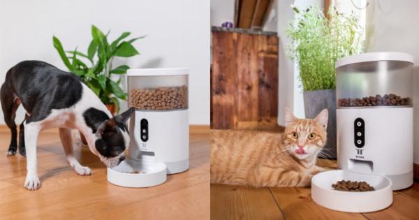 Μπορώ να πάρω μια αυτόματη ταΐστρα για το κατοικίδιό μου και να πάω διακοπές; – Πλεονεκτήματα, μειονεκτήματα και ασφάλεια κατοικιδίων