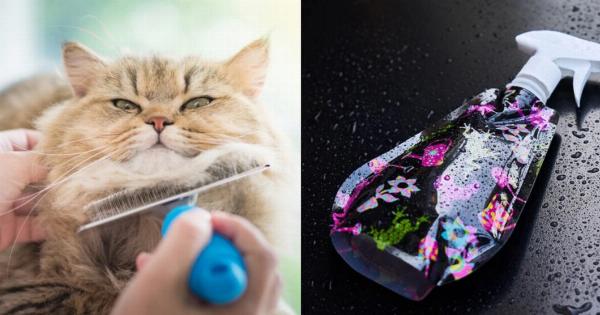 Πώς να φτιάξετε ένα εύκολο σπιτικό σπρέι για να ξεμπερδέψετε το τρίχωμα της γάτας σας (με οδηγίες)